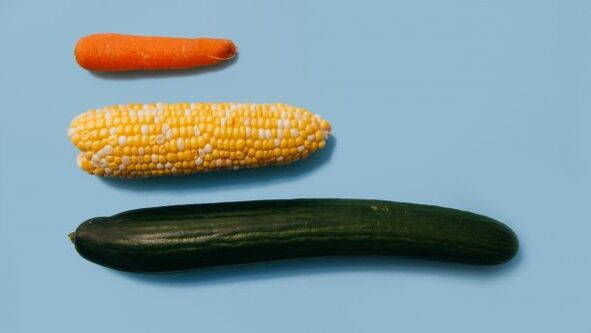 Diferentes tamaños de un miembro masculino en el ejemplo de las verduras. 
